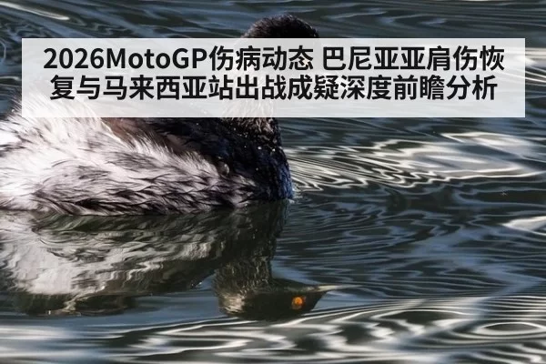 2026MotoGP伤病动态 巴尼亚亚肩伤恢复与马来西亚站出战成疑深度前瞻分析
